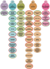 Figure 1. Map of interventions, by class, with colour-coding representing recommendations formulated by the GDG.