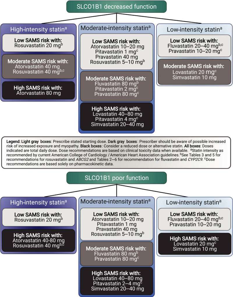 Figure 1: . The Clinical Pharmacogenetics Implementation Consortium Guideline for SLCO1B1, ABCG2, and CYP2C9 genotypes and Statin‐Associated Musculoskeletal Symptoms.