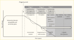 Line graph showing two theories of beta cell mass loss, including a linear loss of beta cells and stepped decline of beta cells with periods of plateaus, throughout the stages of type 1 diabetes.