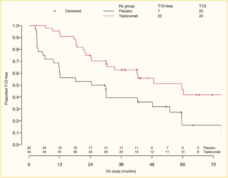 Kaplan-Meier curve showing a statistically significant delay in type 1 diabetes onset for persons treated with teplizumab-treatment compared to persons treated with a placebo.