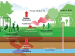 FIGURE 6-4. An example of contaminant source, fate, transport, and exposure setting.