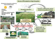 FIGURE 6-5. The source, movement, and fate of microplastics in the environment.