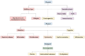 FIGURE 6-7. A flow diagram illustrating the potential human health effects of microplastics.