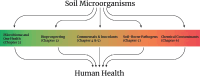 FIGURE 7-1. Discussions of specific microorganisms or microbial processes that relate to human health in other chapters of the report.