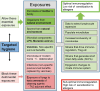 FIGURE 7-4. Essential microbial exposures and nonessential or detrimental exposures.