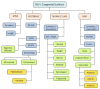 Figure 14. . ICVAS research classification algorithm: a more detailed, systematic analysis of radiographic anatomic features.