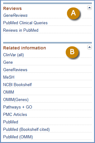 Names and Identifiers