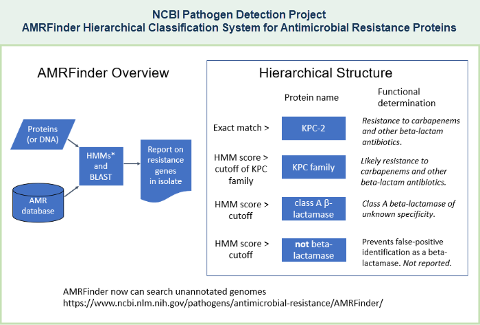 Illustrated example of AMRFinderPlus hierarchical classification system for antimicrobial resistance proteins, featuring the hierarchy for blaKPC-2.