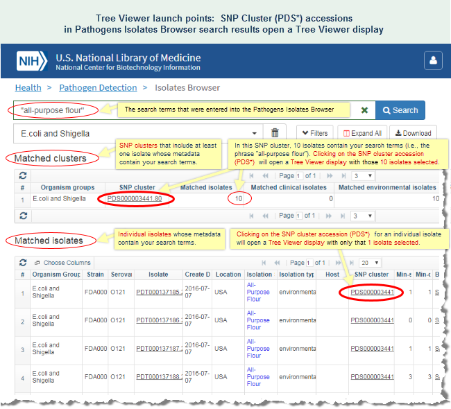 Illustration of Pathogens Isolates Browser output, showing launch points for the SNP Tree Viewer. Each SNP cluster (PDS*) accession opens a SNP Tree Viewer display.