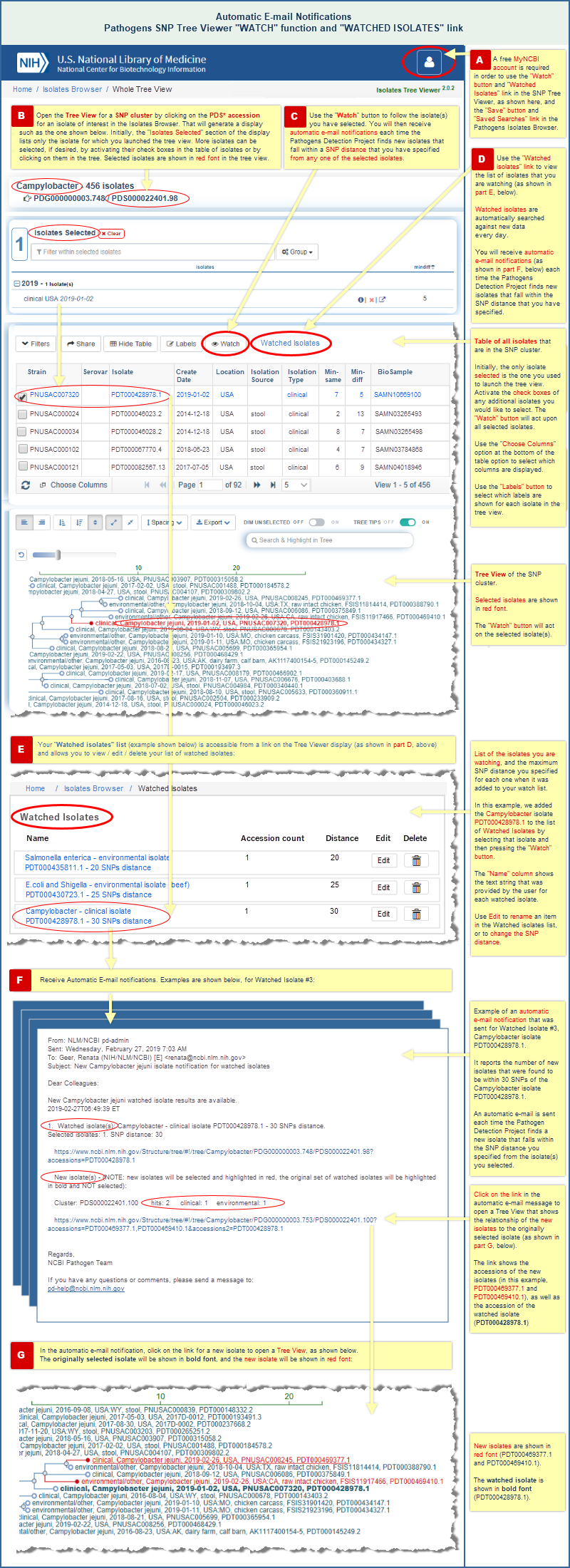 Illustrated example of the Pathogens SNP Tree Viewer WATCH function, and including an example of an automatic e-mail message that contains a notification of new isolates that fall within the SNP distance you specified from an isolate that you are watching.