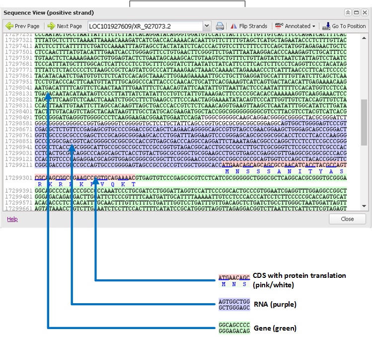 Sequence View screenshot