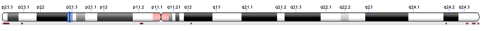 Chromosome overview