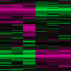 GDS5502 Cluster Image