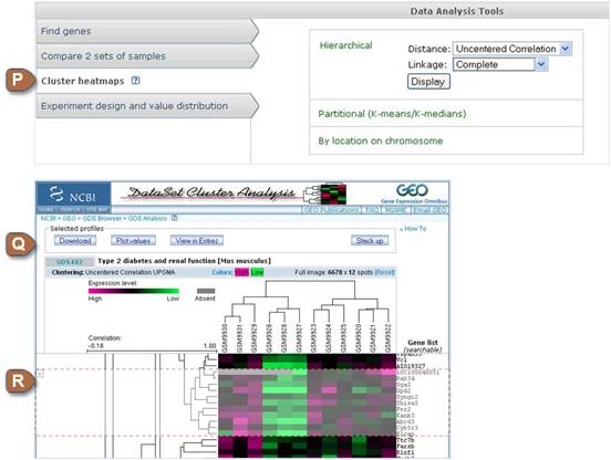 Screenshot of Cluster Heatmaps