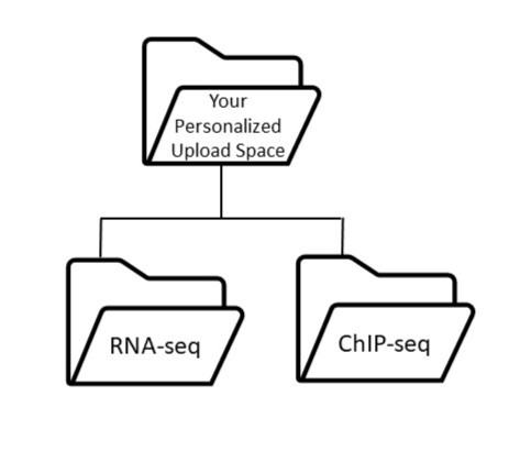 Folder structure