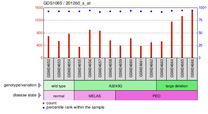 Gene Expression Profile