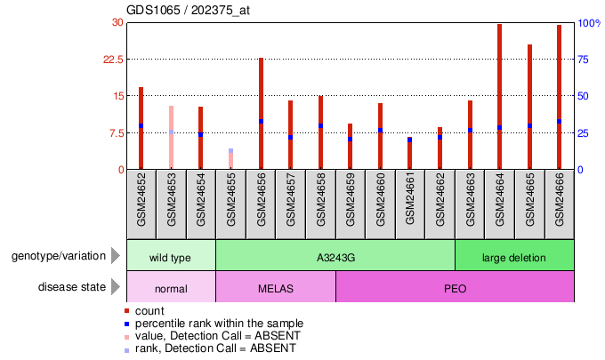 Gene Expression Profile