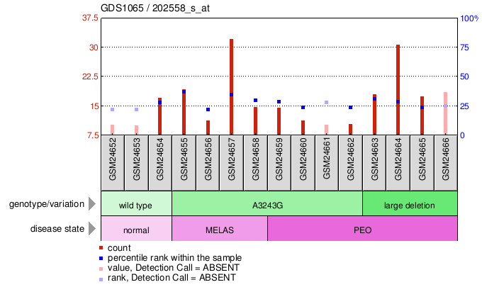 Gene Expression Profile