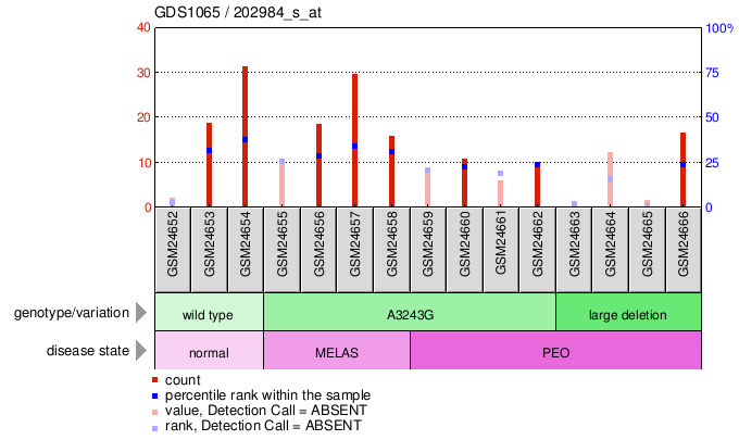 Gene Expression Profile