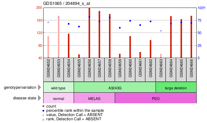 Gene Expression Profile