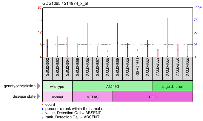 Gene Expression Profile