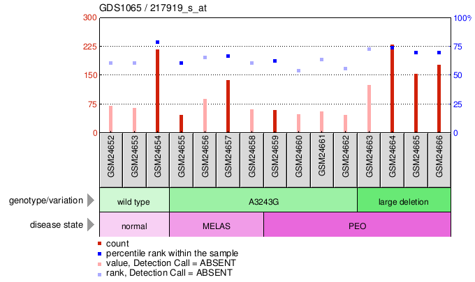 Gene Expression Profile