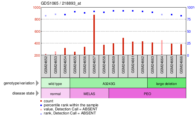 Gene Expression Profile