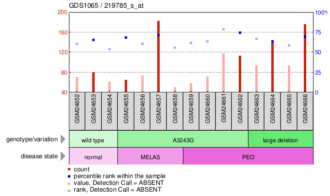 Gene Expression Profile