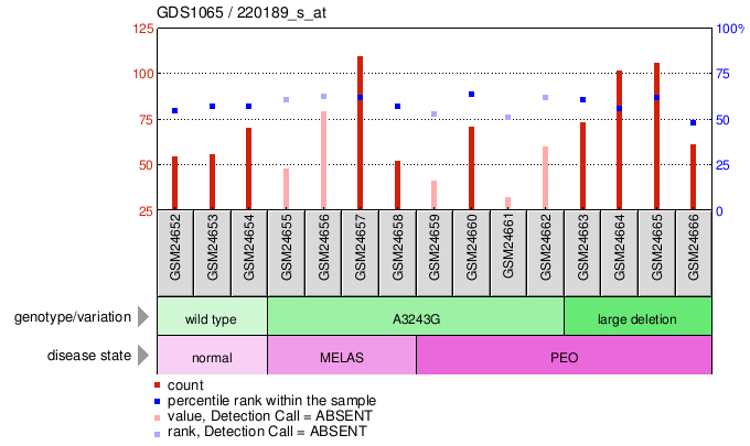 Gene Expression Profile