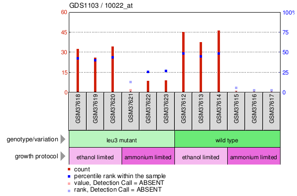 Gene Expression Profile