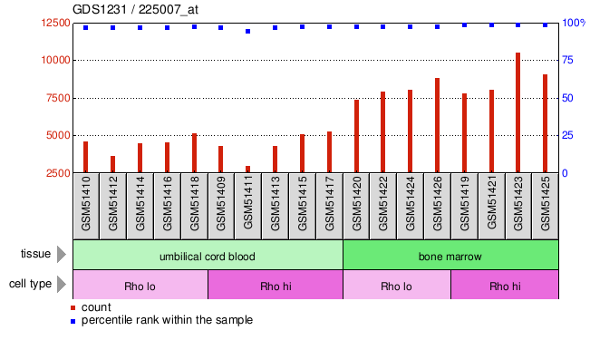 Gene Expression Profile