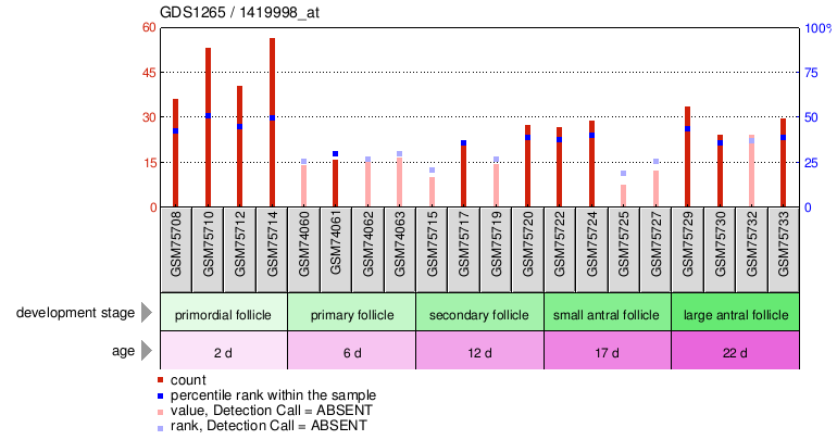 Gene Expression Profile