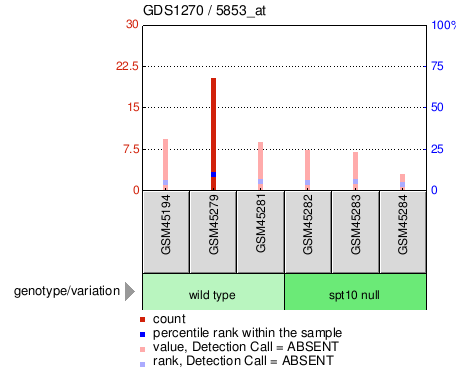 Gene Expression Profile