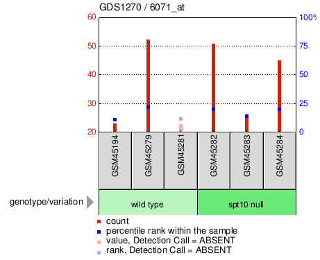 Gene Expression Profile