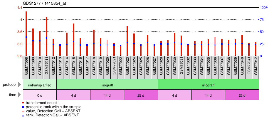 Gene Expression Profile