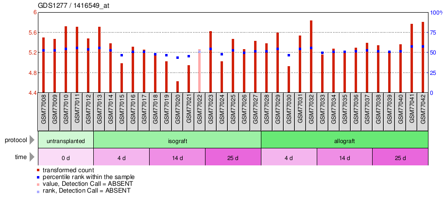 Gene Expression Profile