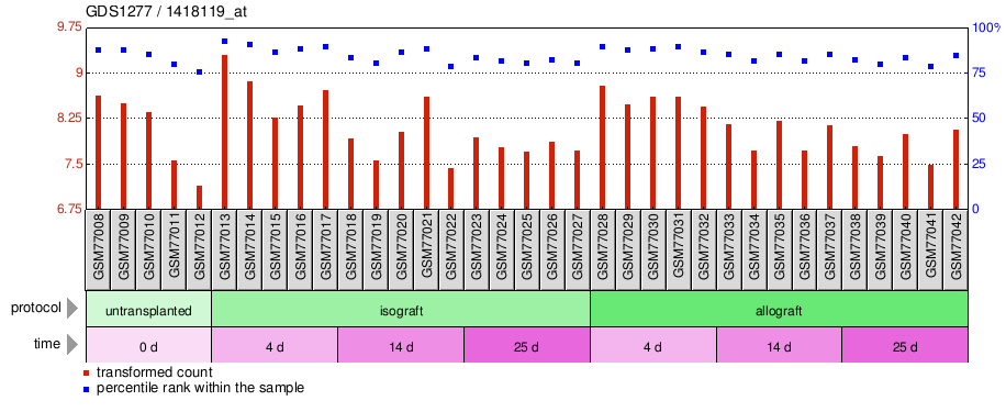 Gene Expression Profile