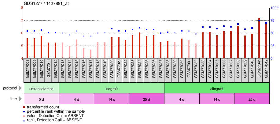 Gene Expression Profile