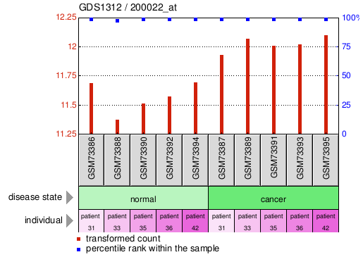 Gene Expression Profile