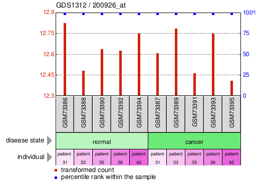 Gene Expression Profile