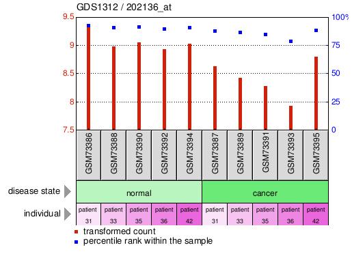 Gene Expression Profile