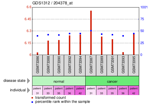 Gene Expression Profile