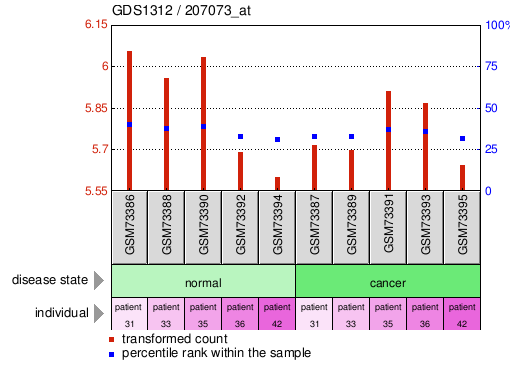 Gene Expression Profile