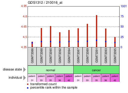 Gene Expression Profile