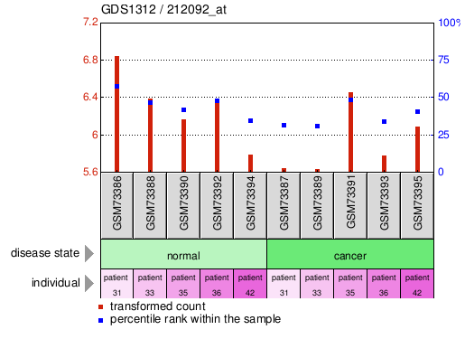 Gene Expression Profile