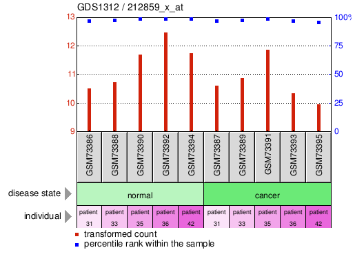 Gene Expression Profile