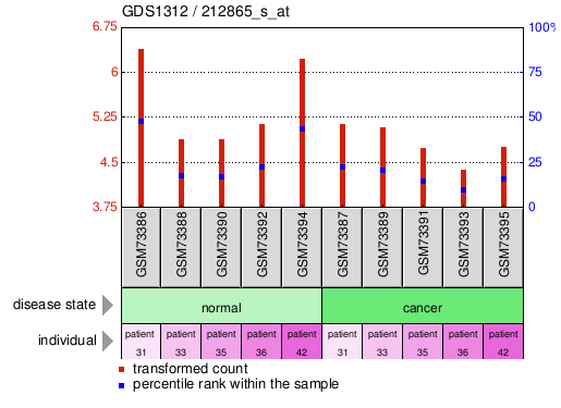 Gene Expression Profile