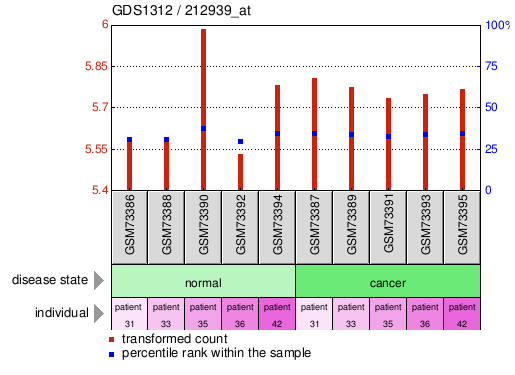 Gene Expression Profile