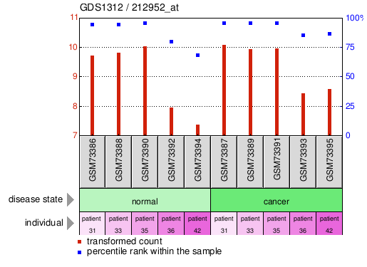 Gene Expression Profile