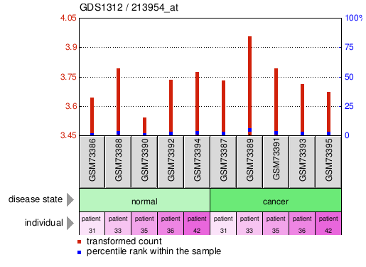 Gene Expression Profile